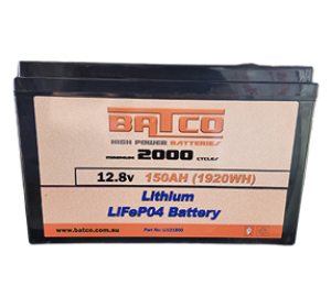Lithium Ion LifePO4 Battery